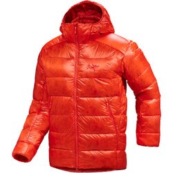 Arcteryx Cerium SV Hoody Men's in Solaris